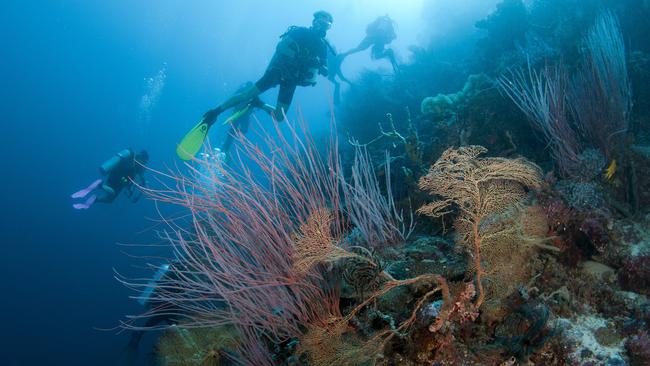 The money handed to the Great Barrier Reef Foundation was to attract further investment in restoring the reef.