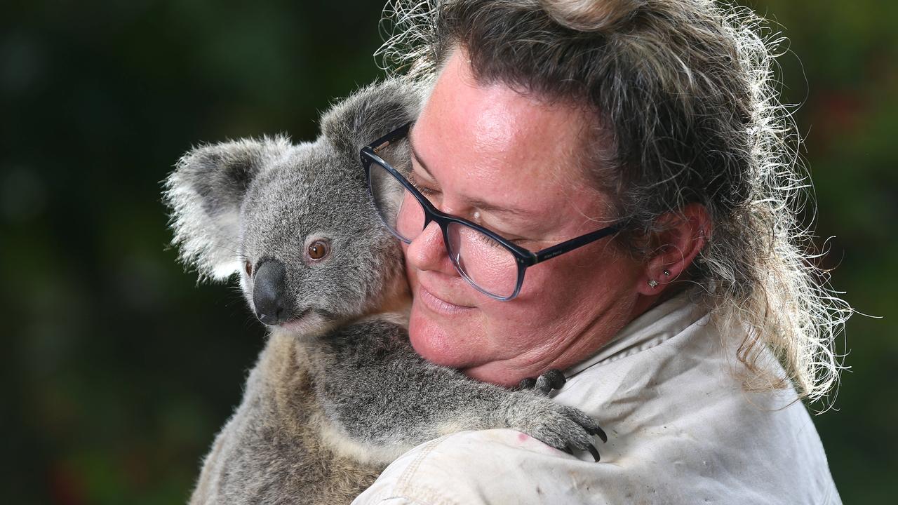 Currumbin Wildlife Sanctuary's Sarah Eccleston gets a snuggle. Picture: Adam Head