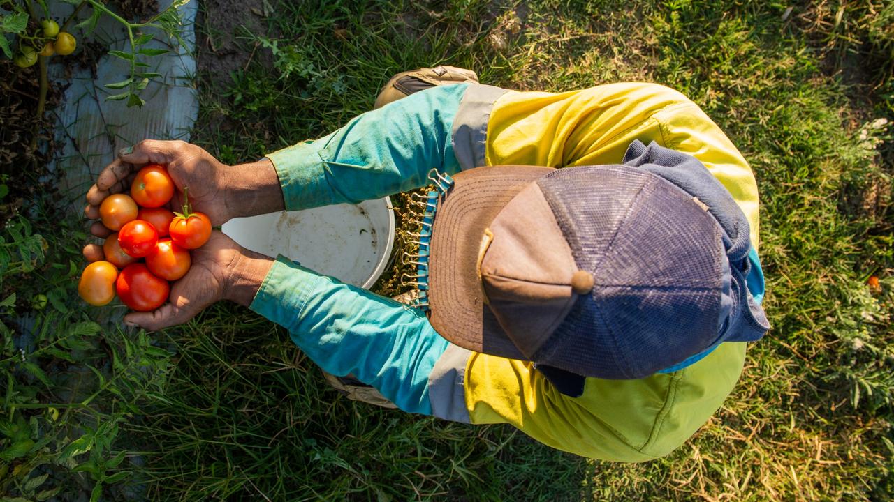 Explainer: Is Australia’s farm labour pipeline “broken”?