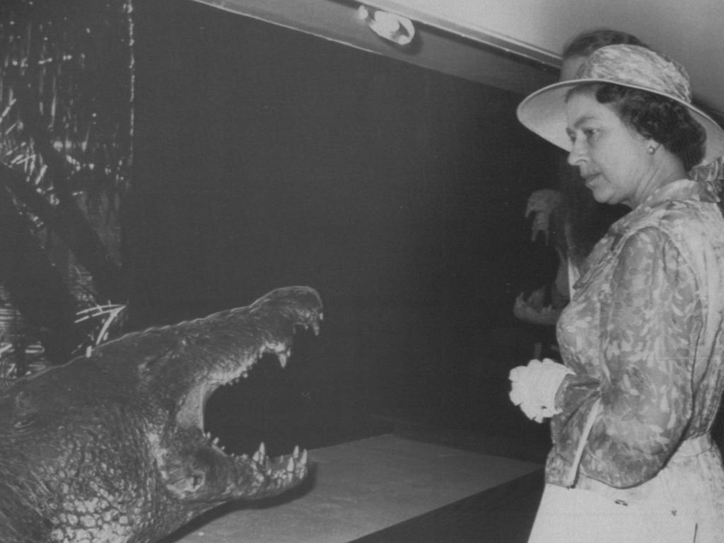 <b>1982 – Darwin</b> The 1982 tour included a visit to Darwin, where the Queen met the star attraction at the Museum and Art Gallery of the NT – a 5.1m saltwater croc called Sweetheart. The aggressive creature was the subject of a relocation attempt in 1979, but drowned in the process, and was instead delivered to a taxidermist. The Queen also presented the Royal Humane Society’s Gold Medal for bravery to Peta Lynne Mann for saving a 23-year-old man from a crocodile attack the previous year, aged just 12.