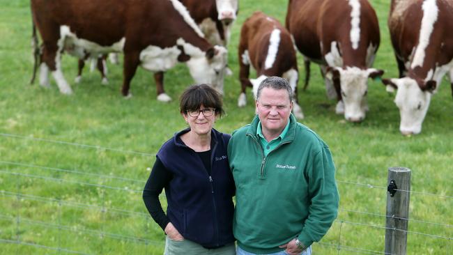 Eve Kantor and Mark Wootton of Jigsaw Farms at Hensley Park, Cavendish. Picture: Yuri Kouzmin