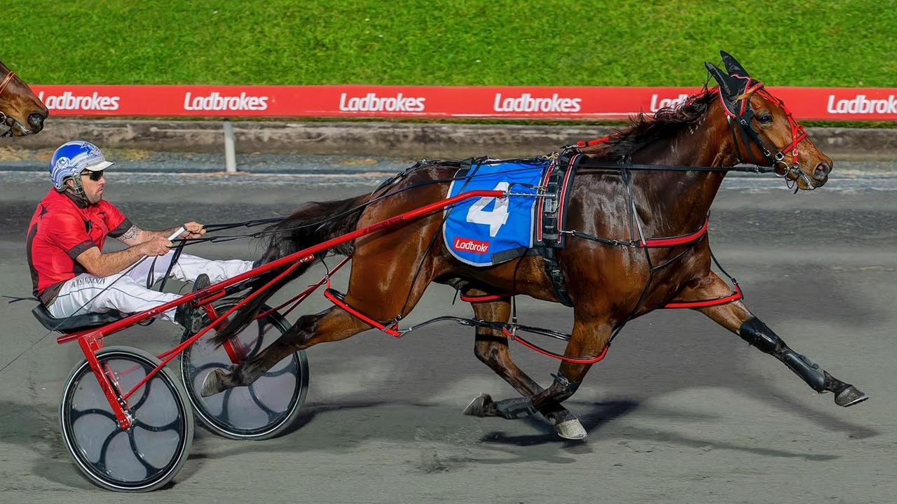 Sure Thing Captain will be chasing a berth in the TAB Eureka at Menangle on Saturday night