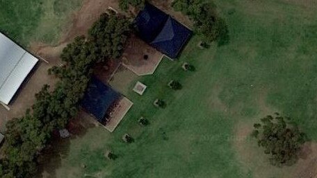 The seven Claret Ash trees stand alone in a grassed area at Carisbrooke Park near a playground. Picture: Google Maps