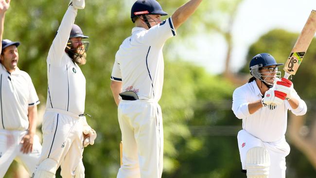 Aberfeldie appeal for the wicket of Callan Tishler of Craigieburn during the Victorian Turf Cricket Association match between Aberfeldie and Craigieburn at Clifton Park, on February 24, 2024, in Melbourne, Australia. (Photo by Josh Chadwick)