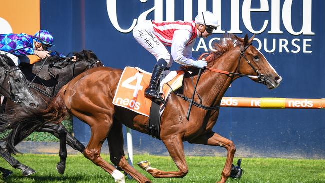 Agreeable finally broke through at Caulfield. Picture: Racing Photos via Getty Images