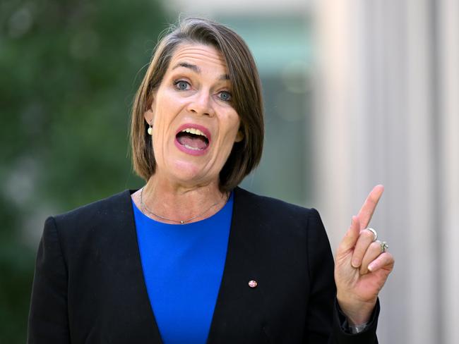 Nationals Senator Perin Davey speaks during a press conference at Parliament House in Canberra, Monday, 27 November, 2023. (AAP Image/Lukas Coch) NO ARCHIVING