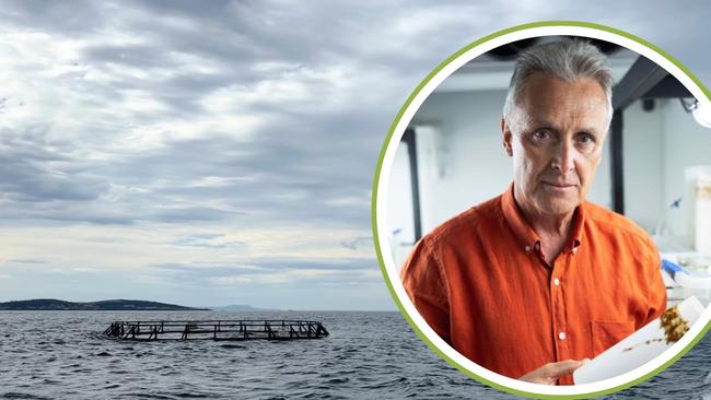 University of Tasmania's Institute of Marine and Antarctic Studies have placed rings in the waters off Tinderbox, which have lines underneath them to grow giant kelp. The giant kelp are sucking nutrients from salmon farming. IMAS marine ecology Professor Craig Johnson.