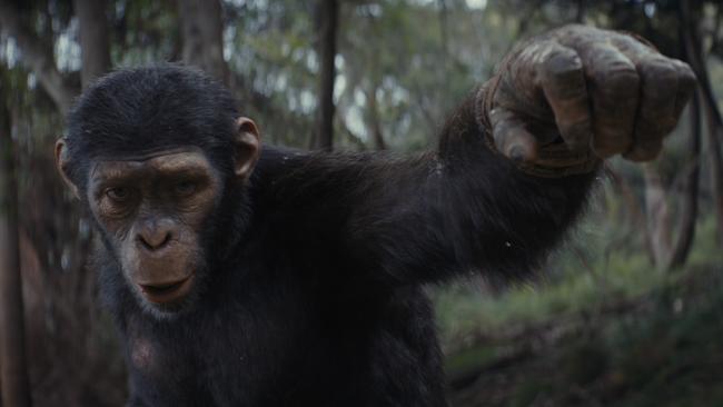Noa (played by Owen Teague) in Kingdom of the Planet of the Apes. Picture: 20th Century Studios