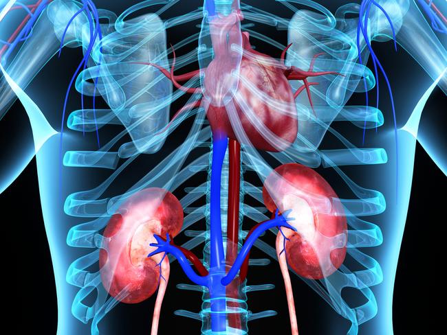 Illegal organ transplants exploit the poor. Picture: Getty Images