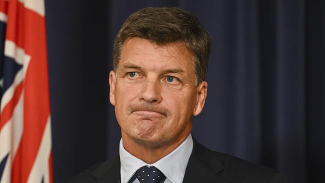 The insurance industry was never in the sights of the Coalition’s divestiture proposal, Angus Taylor has claimed. Picture: NewsWire / Martin Ollman