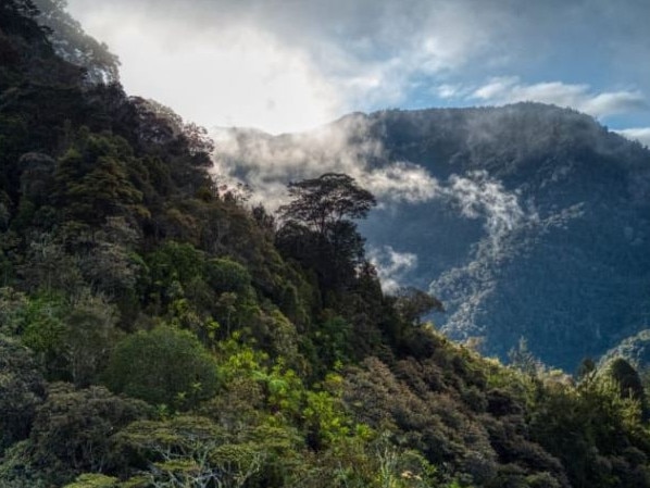 Mt Sisa is in a remote area near the border of Hela and PNG’s Southern Highlands. Picture: Supplied