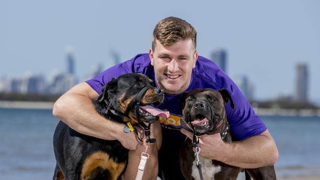 Titans player Jai Arrow with his dogs Koda (rottweiler) and Thor. Picture: Jerad Williams