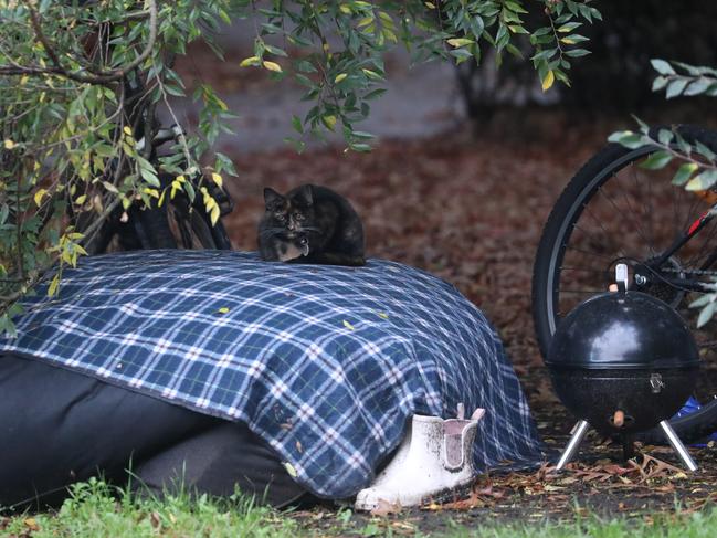 Kerry’s black cat. “Electricity, power banks and things like that are your best friend,” she says. Picture John Grainger