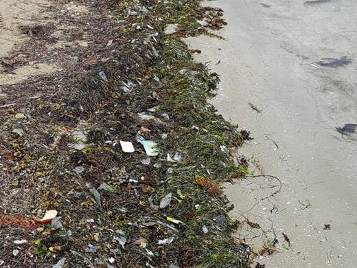 Mornington Peninsula beach clean: Rubbish on Blairgowrie beach after mechanical rake was switched for hand cleaning. Picture: supplied