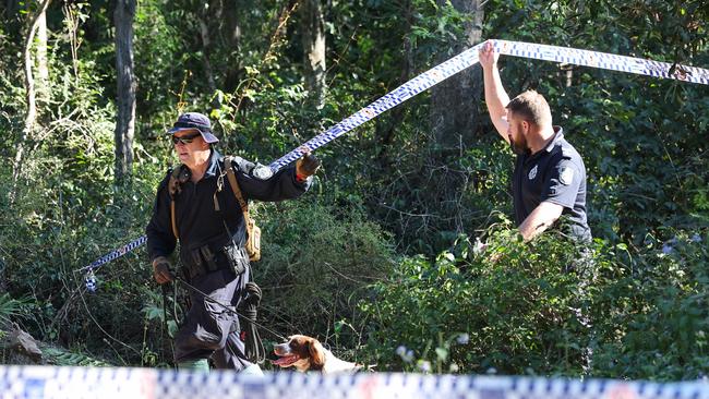 Police with a dog and SES conduct a search in Good Night Scrub National Park looking for the missing 17-year-old Pheobe Bishop. Picture: NewsWire / Adam Head