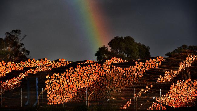 A logging yard in Portland in Victoria. Picture: Tony Gough