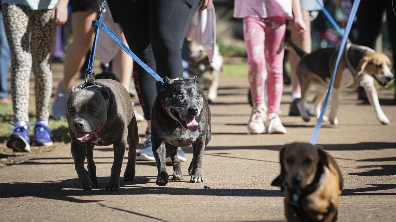 Toowoomba's Million Paws Walk at Queens Park, Sunday, May 26, 2024. Picture: Kevin Farmer
