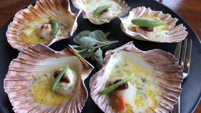 Scallops and saltbush butter.