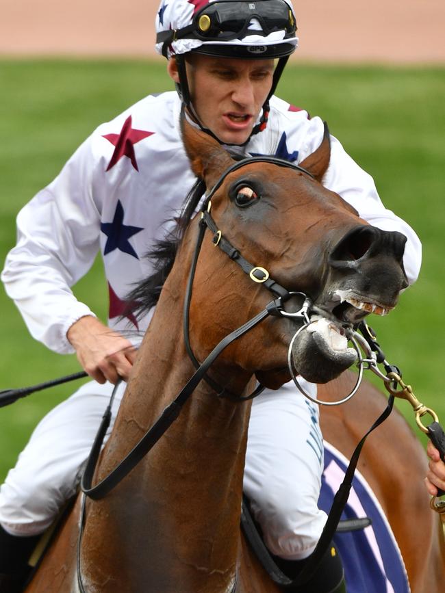 Luke Currie returns to scale the Gilgai Stakes