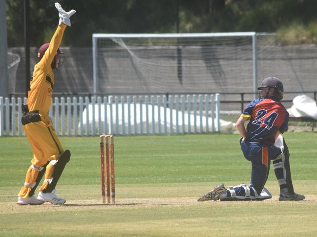 Fletch Gersbach appeals for the wicket of Aidan Boulton. Picture: Sean Teuma