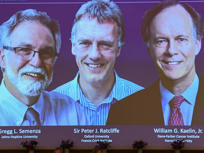 Nobel Assembly member, Randall Johnson (R), speaks to announce the winners of the 2019 Nobel Prize in Physiology or Medicine (L-R) Gregg Semenza of the US, Peter Ratcliffe of Britain and William Kaelin of the US, seen on a screen during a press conference at the Karolinska Institute in Stockholm, Sweden, on October 7, 2019. - William Kaelin and Gregg Semenza of the US and Peter Ratcliffe of Britain win the 2019 Nobel Medicine Prize. (Photo by Jonathan NACKSTRAND / AFP)