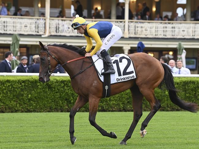 Stefi Magnetica at Randwick on March 2, 2024. Picture: Bradley Photos