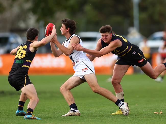 Hamish Pierson of the Geelong Falcons. Picture: Graham Denholm