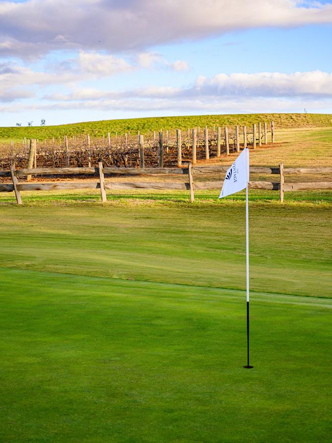 One of the holes overlooking the vines.