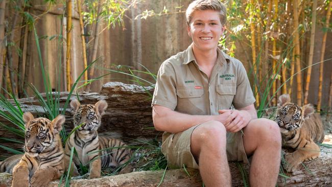 Robert Irwin with Sumatran Tiger cubs at Australia Zoo. Picture: Animal Planet