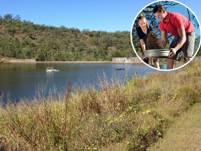 Residents of Mount Morgan are encouraged to have their say on the potential establishment of a fossicking area at No. 7 Dam.
