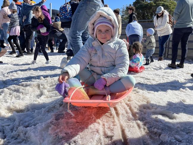 Hampton girl Ella Wood (7) slides down the snowfield hill on a toboggan at the 2021 Snowflakes in Stanthorpe festival. Photo: Madison Mifsud-Ure / Stanthorpe Border Post