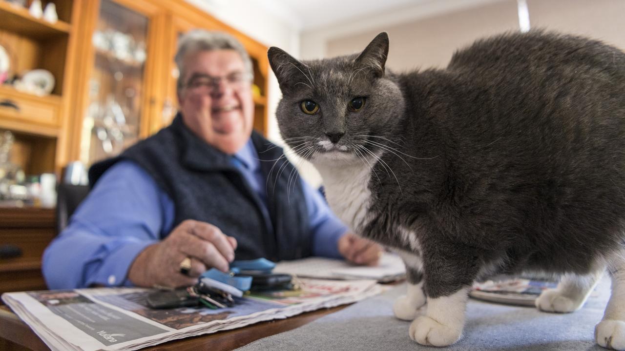 Lifeline Darling Downs CEO Derek Tuffield has announced his retirement. Mr Tuffield is photographed at home with his 14-year-old cat Moomoo. Picture: Kevin Farmer