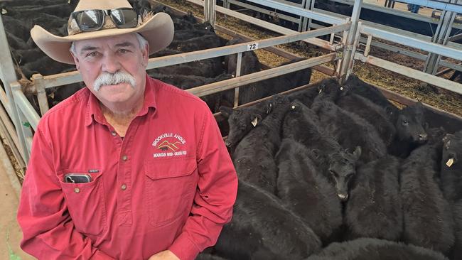 Pilso Richard, of Brookville Angus, Swifts Creek, was a major vendor at the Wodonga store cattle sale was