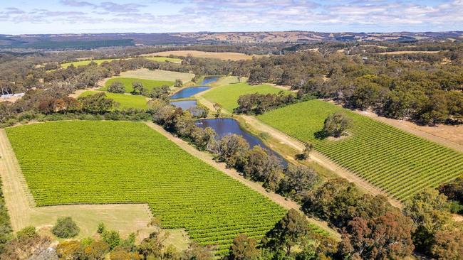 The Range vineyard property at Willunga that Vailo founder Aaron Hickmann owns, is up for sale to pay off debts. Picture: realestate.com.au