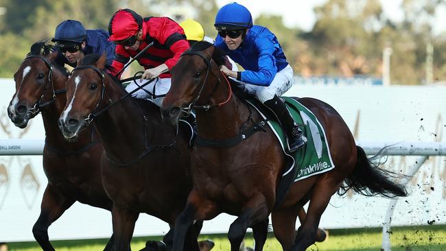 SYDNEY, AUSTRALIA - SEPTEMBER 14: Zac Lloyd riding Traffic Warden wins Race 8 James Squire Run To The Rose during Sydney Racing at Rosehill Gardens on September 14, 2024 in Sydney, Australia. (Photo by Jeremy Ng/Getty Images)