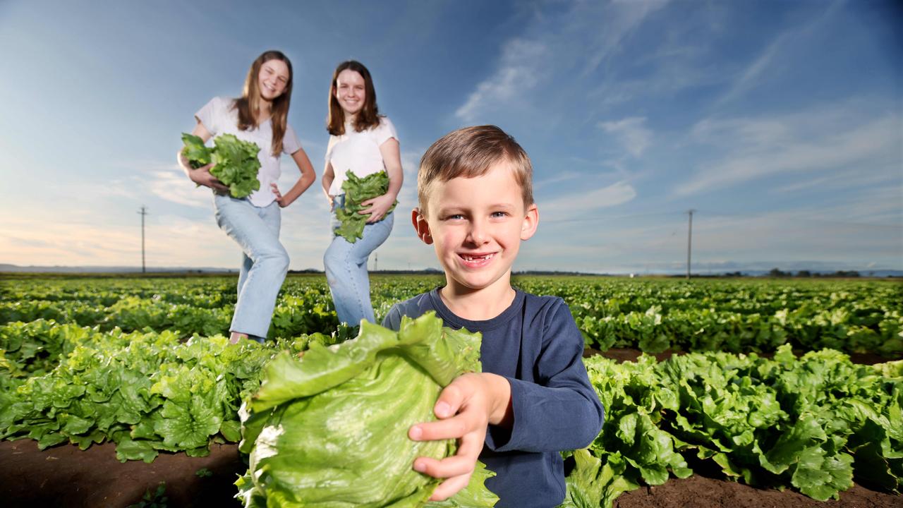 Coles’ two for one solution to iceberg lettuce shortage The Courier Mail