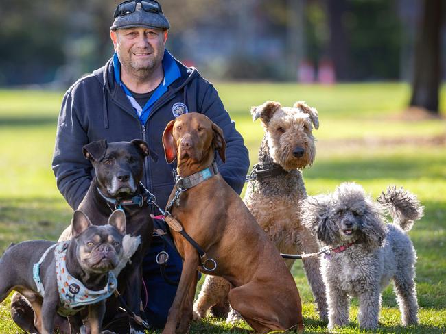 MELBOURNE, SEPTEMBER 12, 2024: Dog walker Ron Buch was fined for walking too many dogs. Picture: Mark Stewart