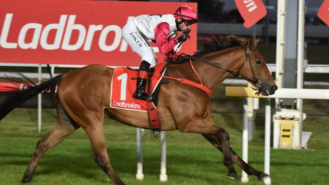 Turk Warrior (Ismail Toker) winning the $150,000 Gold Sovereign Stakes in Launceston