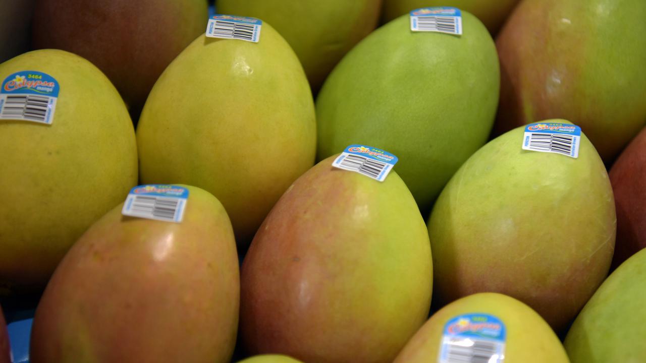 Seaway Logistics packed and tagged mangoes ahead of their first overseas shipment. Picture: (A)manda Parkinson