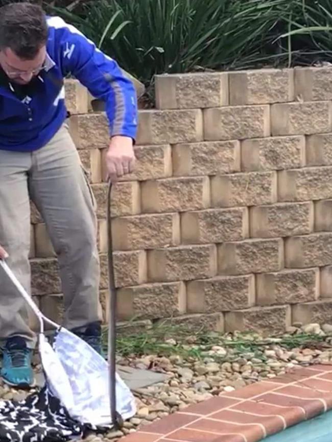 Sean Cade bags the 1.2m snake. Picture: Australian Snake Catchers