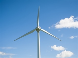 Victorians want more investment in renewable energy, a poll by an activist group has found.