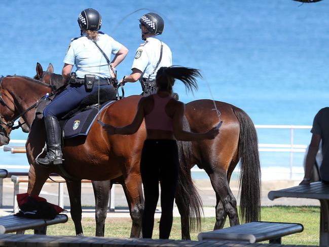 Police have spent the last week patrolling NSW's beaches, parks and streets.