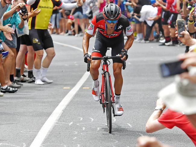 20/01/18 - Fans cheer on the Richie Porte on to victory during the Subaru King of the Mountain: Brookman Road, Willunga Hill.Picture: Tom Huntley