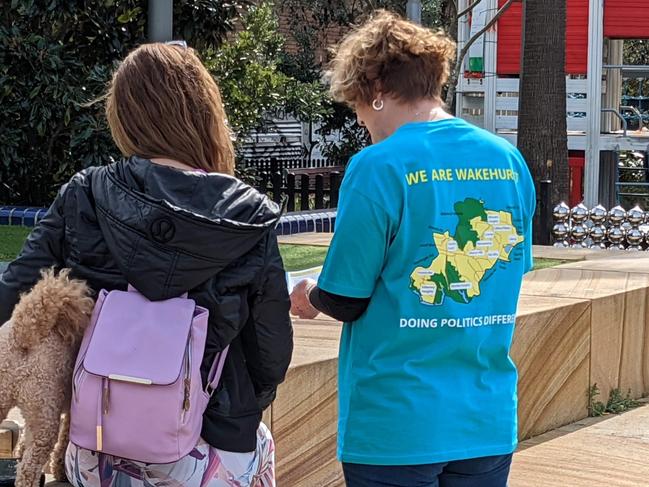 A Wakehurst's Independent organiser talking to a voter in Dee Why. They are yet to name a candidate for the March 2023 election. Picture: Supplied