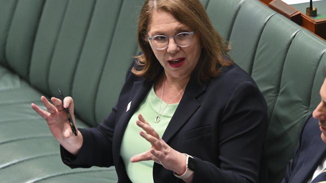 Minister for Infrastructure, Transport and Regional Development of Australia, Catherine King. Picture: NCA NewsWire / Martin Ollman