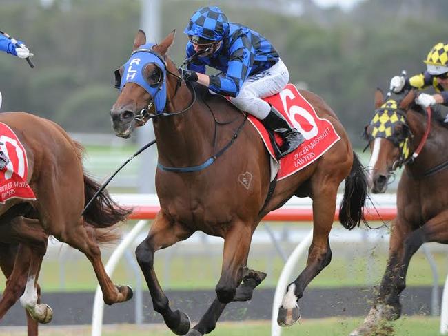 Privlaka winning at the Sunshine Coast. Picture: Grant Peters, Trackside Photography