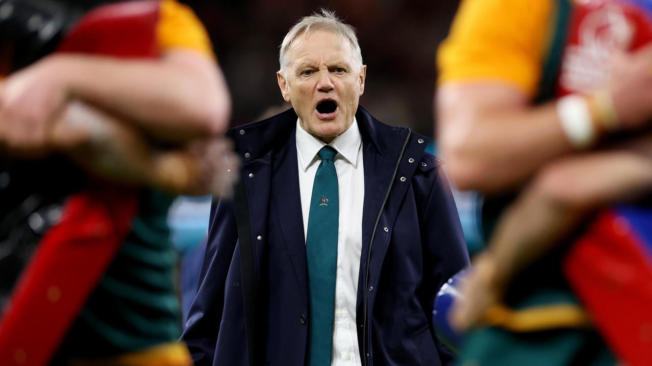 Why Schmidt is now the most important man in rugby