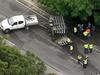 Bull euthanised after M1 rollover