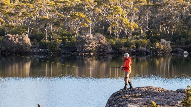 Walker and trout fisher Richard Webb fishing on Halls Island on Lake Malbena. Picture: CHRIS CRERAR