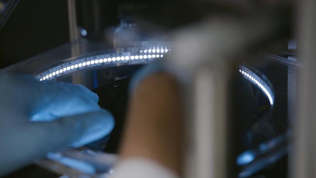 The finger print blood sample would be processed on a disc. Picture: Orbis Diagnostics